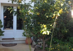 Holiday apartment St Aygulf for 1 - 4 persons with 1 bedroom - Holiday apartment