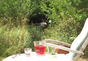 Holiday Cottage On Our Smallholding