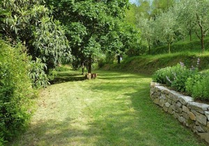 holiday home Casa Carla, Ripafratta-Casa Carla in Ripafratta