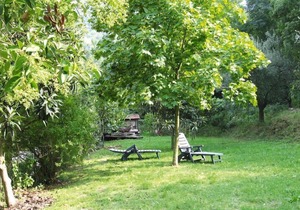 holiday home Casa Carla, Ripafratta-Casa Carla in Ripafratta