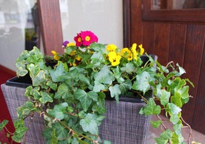 Hotel Linde Stuttgart Sindelfingen