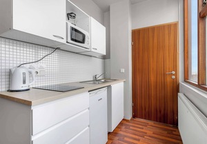 Iceland Comfort Apartments Triple Studio