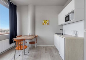 Iceland Comfort Apartments Studio 3 Adults