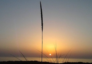 LAGINHA MAR-BEACH APARTMENT-Zambujeira Mar