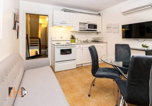 Lively 3 Bedroom multi-story Apartment in Historic Cabbagetown