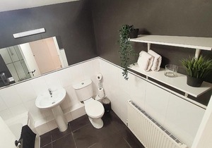 Lovely 2 Bedroom Apartment- Guinness Storehouse