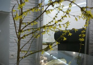 Lovely apartment- Poznanska 16