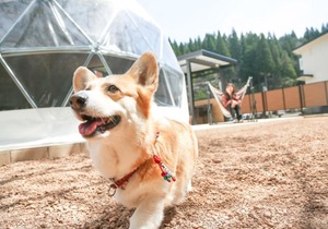 Lupo Forest "GRAN FOREST Echizen Miyama" - Vacation STAY 07123v