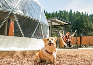 Lupo Forest "GRAN FOREST Echizen Miyama" - Vacation STAY 07123v