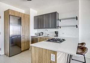 Luxe West Loop 1BR w/Gym, Pool, Coworking, walk to UIC, by Blueground