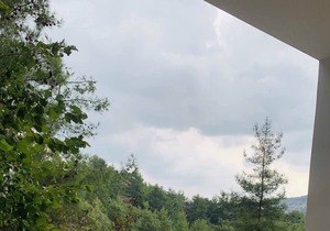 Luxury House-,Troodos Mountains,forest