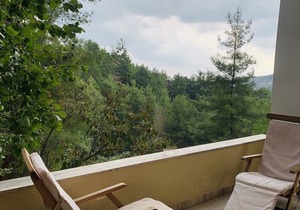 Luxury House-,Troodos Mountains,forest