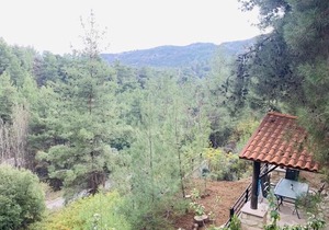 Luxury House-,Troodos Mountains,forest