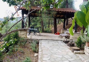 Luxury House-,Troodos Mountains,forest