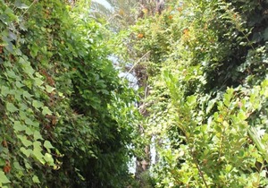 Maison Etoile De Mer 2