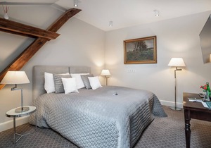 Manowce Palace - Double or Twin Room (Room 8)