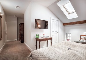 Manowce Palace - Double or Twin Room (Room 8)