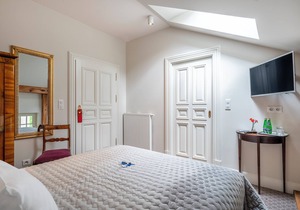 Manowce Palace - Small Double or Twin Room (Room 10)