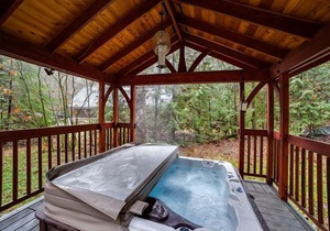 Mt. Baker Rim Cabin #50 - Hot Tub - Pets Ok - Wi-Fi - Sleeps 8