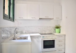 One Building with 4 Unique Apartments and Green Rooftop! EP9bdng