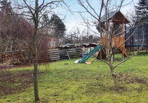 Pet Friendly Apartment