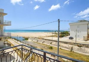 Pet friendly apartment