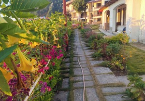 Relax, rejuvenate and experience authentic Kumaoni cuisine and Ayurvedic spa.