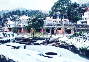 Relax, rejuvenate and experience authentic Kumaoni cuisine and Ayurvedic spa.