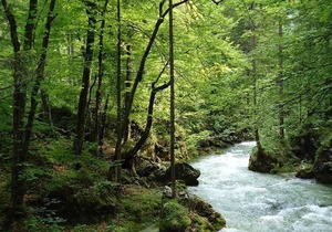 Single room with shower, WC - Pension Seiwald