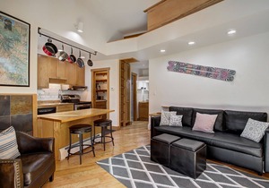 Slope Side Lodge Apt. Surrounded by Nature Steps to the Bus - Fast WiFi