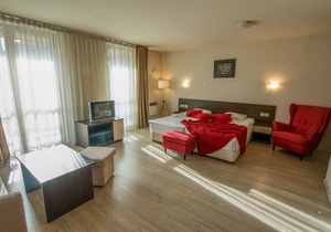 StayInn Banderitsa Apartment in Bansko with queen size bed and kitchen