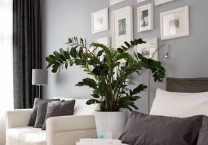 Studio 44, apartment RIEMANN 2; Center, free WiFi, bicycles