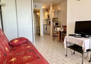 Studio cabine famille, plage, parking, animaux admis - Argelès-sur-Mer - FR-1-225-53