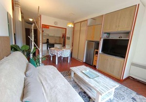 Studio Confort 4 Personnes avec Balcon, Parking et Casier à Ski - Saint-Lary-Soulan - FR-1-457-305