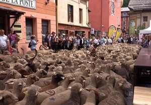 Studio in the heart of the village