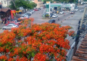Suite in the center of Arraial do Cabo