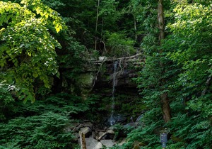 Tentrr State Park Site - WV Hawk's Nest State Park - Site I - Single Camp