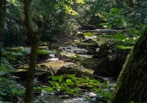 Tentrr State Park Site - WV Hawk's Nest State Park - Site B - Single Camp