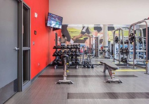 Updated 1BR Apt near the Mississippi River