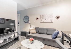 Upscale 2BR Apt w King Bed & Netflix