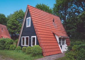 Vacation home Eigen Wijze in Bant - 6 persons, 3 bedrooms