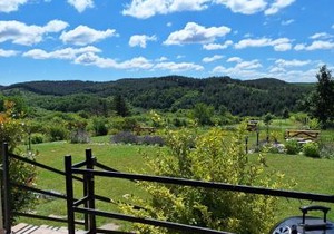 Zöld Terasz Vendégház