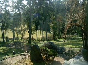 Cottage Of Tranquility | Salt Spring Island