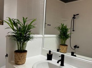 Apartament | Działki Lesne