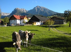 Wc Dansbach | Spital am Pyhrn