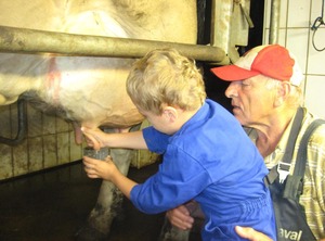 Wc Dansbach | Spital am Pyhrn