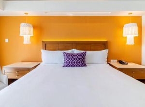 Camino Veracruz | Boca del Rio