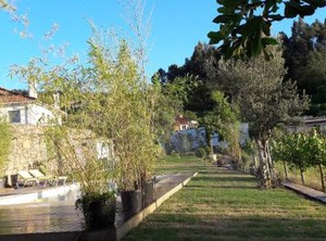 Bedrooms Enclosed Garden At Covelas Povoa De Lanhoso | Povoa de Lanhoso