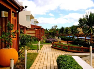 Duplex People Sea | Tamarin