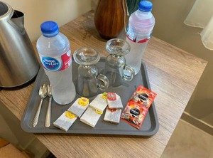 Palace Hotel | Downtown Cairo